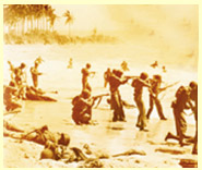 GUADALCANAL DIARY